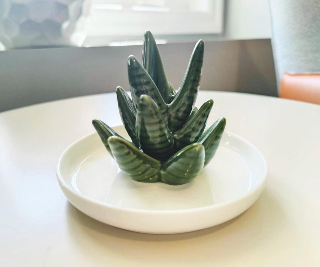 Ceramic Cactus & Aloe Jewelry Tray