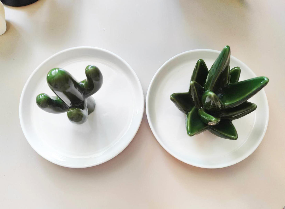 Ceramic Cactus & Aloe Jewelry Tray 