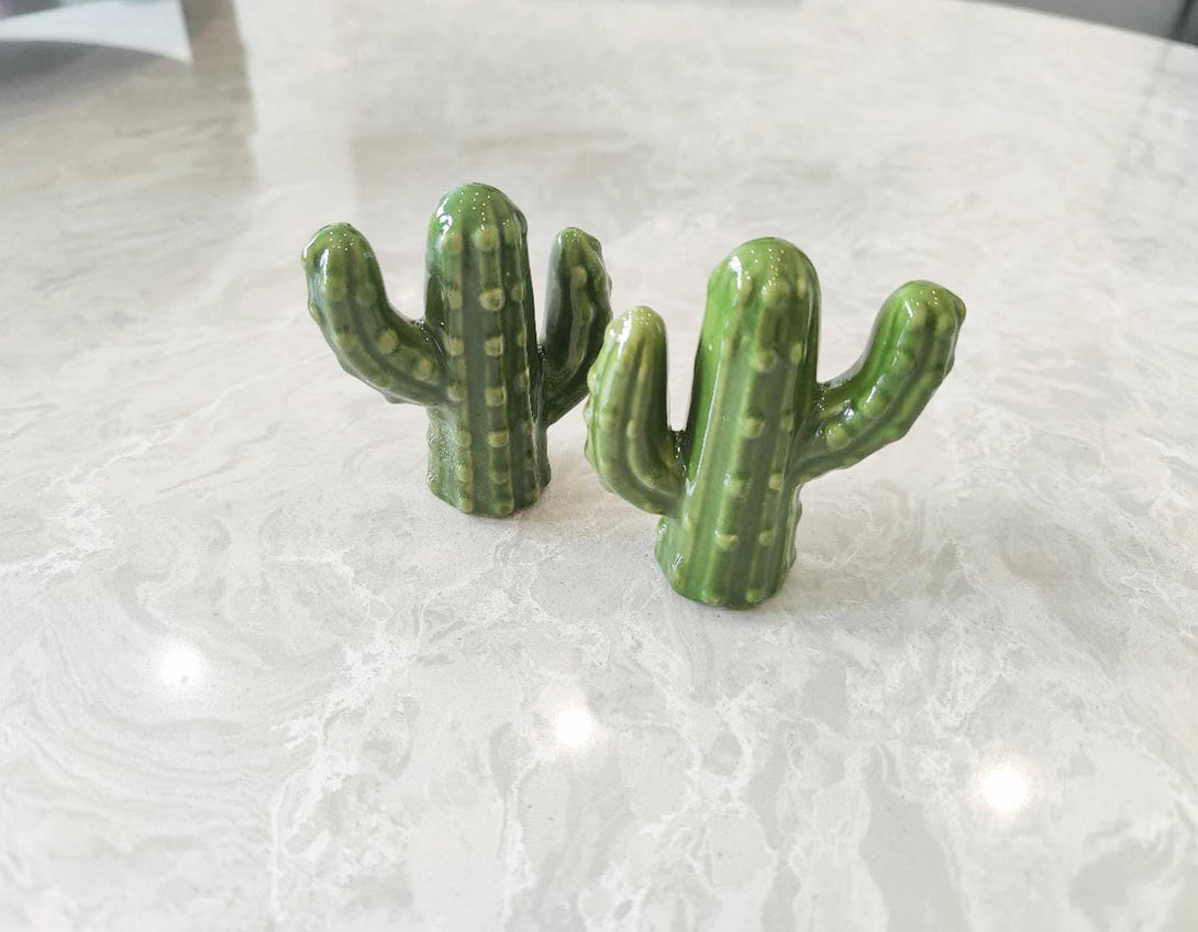 Ceramic Cactus Jewelry Holder